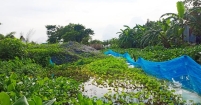 খাল দখলকারীর ঔদ্ধত্য রোধ করুন
