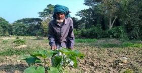 দরিদ্র কৃষক বিল্লাল বেপারী হতভম্ব