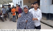 গাছ চাপায় শ্রমিকের মৃত্যু