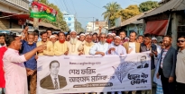 ধানের শীষের সমর্থনে পুরাণবাজারে ১নং ওয়ার্ড ম্যারকাটিজ উত্তর-দক্ষিণ ইউনিট বিএনপি ও অঙ্গ সংগঠনের মিছিল