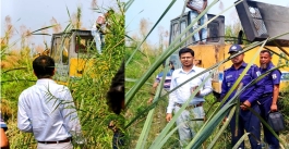 এমপির নির্দেশে মেঘনার চরে এমন অভিযান হোক লাগাতার