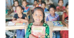 উচ্চশিক্ষার সংকটের গোড়া নিম্নশিক্ষার দুর্বল ভিতে