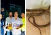 হাসপাতাল কোয়ার্টার থেকে সুন্দরী সাপ কালনাগিনী উদ্ধার