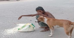 রিজিকের ফায়সালা এবং পাগলার বুঝ