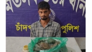 মতলব উত্তরের শাহবাজকান্দিতে মাদকসহ ফয়সাল আটক
