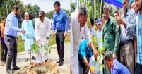 বৃক্ষরোপণ ও বিতরণ কর্মসূচি উদ্বোধন করলেন এমপি মানিক