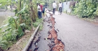নির্মাণ কাজে অনিয়মের অভিযোগ : টানা বৃষ্টিতে ধসে পড়লো পাকা সড়কের একাংশ