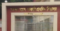 মতলব মডেল সরকারি প্রাথমিক বিদ্যালয়ের ৩০জন শিক্ষার্থী প্রাথমিক বৃত্তি পেয়েছে