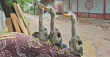 আইন প্রয়োগের চেয়ে সচেতনতা জরুরি.....