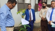 ২৫ কোটি বৃক্ষরোপণ কর্মসূচির অংশ হিসেবে বৃক্ষরোপণ