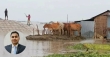 বন্যায় গবাদিপশুর সুরক্ষায় করণীয়