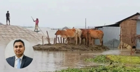 বন্যায় গবাদিপশুর সুরক্ষায় করণীয়