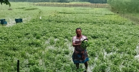 পরিশ্রম আর সততায় সফলতার গল্প কৃষক শফু মিজির