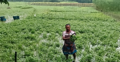 পরিশ্রম আর সততায় সফলতার গল্প কৃষক শফু মিজির