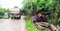 কিলোমিটার অংশ মরণ ফাঁদে পরিণত