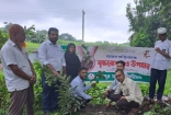 নজরুল বর্ষে চাঁদপুর সাহিত্য পরিষদের বৃক্ষরোপণ ও চারা বিতরণ