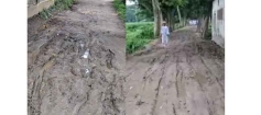 ফরাজীকান্দি আলিয়া মাদ্রাসায় যাতায়াতের রাস্তাটির অবস্থা চরম বেহাল!