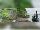 মতলবে নদী ভাঙনকবলিত এলাকা পরিদর্শনে পাউবোর কর্মকর্তারা