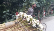 শ্রীনগরে শাপলা বেচে চলে সিরাজের সংসার