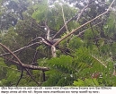 চাহিদার তুলনায় প্রাপ্তি অর্ধেক॥ লোডশেডিং বেড়েছে মাত্রাতিরিক্ত।।