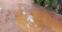 পাইকদী ঘাট-চান্দ্রা ভুলু ডাক্তার ব্রিজ সড়কের বেহাল দশা, দুর্ভোগে হাজারো মানুষ