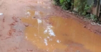 পাইকদী ঘাট-চান্দ্রা ভুলু ডাক্তার ব্রিজ সড়কের বেহাল দশা, দুর্ভোগে হাজারো মানুষ