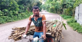 নিজের ক্ষেতের আখ রাস্তায় রাস্তায় বিক্রি করে লাভবান মনির মোল্লা