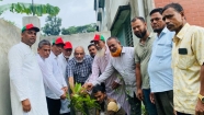 মতলবে বিএনপির প্রতিষ্ঠাবার্ষিকীতে বৃক্ষরোপণ কর্মসূচি