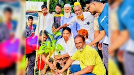 চাঁদপুর পৌর ১১নং ওয়ার্ড বিএনপির বৃক্ষরোপণ কর্মসূচি উদ্বোধন করলেন হাজী শাহজালাল শেখ