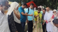 ক্লিন চাঁদপুর ও পরিবেশ আইনবিদ সমিতির ব্যবস্থাপনায় বড় স্টেশন মোলহেডে বৃক্ষরোপণ