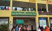 বিড়ালের কামড়-আঁচড়ে এক মাসেই হাসপাতালে ১৭৬৩ জন : আক্রান্তের ৭০ শতাংশ শিশু