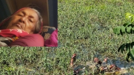 মতলবে নিখোঁজের চারদিন পর  শতবর্ষী বৃদ্ধার লাশ উদ্ধার