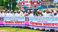 মতলব উত্তরে মহানবী (সা.)-কে নিয়ে কটূক্তির প্রতিবাদে মানববন্ধন ও বিক্ষোভ মিছিল