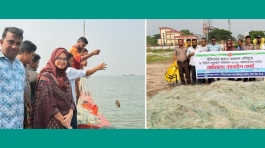 মতলব উত্তরে মা ইলিশ সংরক্ষণ অভিযানে ৩০ হাজার মিটার কারেন্ট জাল জব্দ