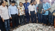বড় স্টেশন মাছ ঘাটে   পচা ইলিশ জব্দ ও ১০ হাজার টাকা জরিমানা