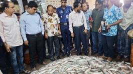 বড় স্টেশন মাছ ঘাটে   পচা ইলিশ জব্দ ও ১০ হাজার টাকা জরিমানা