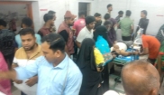 কোরবানির পশুতে  প্রায় শতাধিক আহত