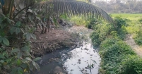 খাল খনন দ্রুত বাস্তবায়ন চায় কৃষকরা