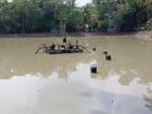 ফরিদগঞ্জে নিষেধাজ্ঞা অমান্য করে অবৈধ ড্রেজারে বালু উত্তোলন, ভাঙন ঝুঁকিতে বসতবাড়ি ও বাগান