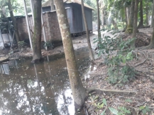 শ্রীনগরে মশার উপদ্রবে অতিষ্ঠ জনজীবন, বাড়ছে ডেঙ্গুর ঝুঁকি